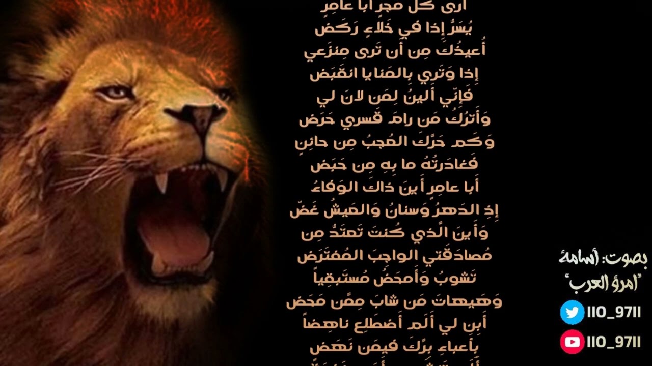 حداء أثرت هزبر الشرى || بصوت أسامة