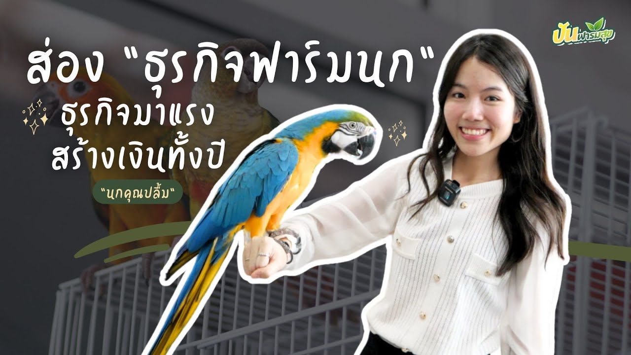 #ปันฟาร์มสุข : ส่อง “ธุรกิจฟาร์มนก” ธุรกิจมาแรง สร้างเงินทั้งปี