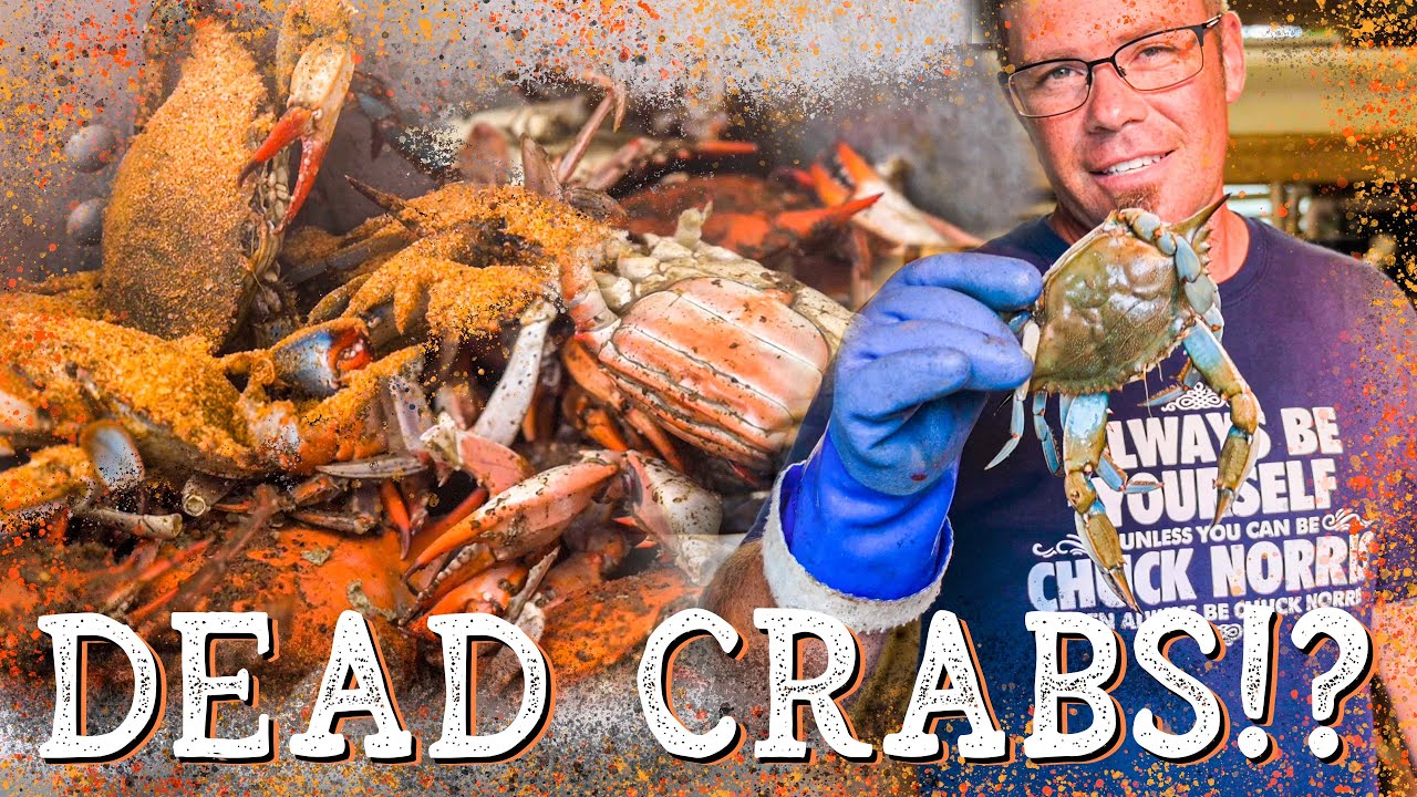 Ешь ДОХЛЫХ СИНИХ КРАБОВ!?!? 🦀 Серия «Крабы на пару», часть 2