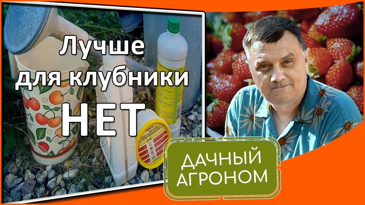 Клубника: С ЭТИМИ средствами вы ЗАБУДЕТЕ о болезнях и вредителях