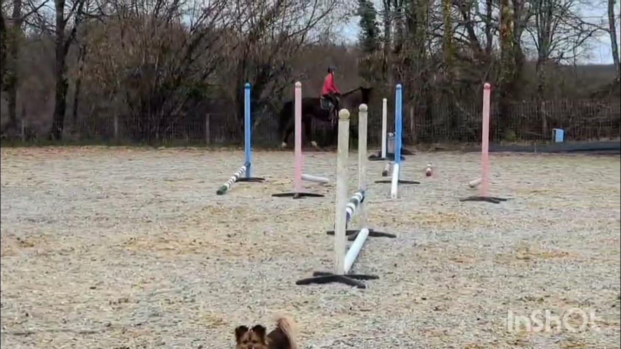Méryle flatwork video 