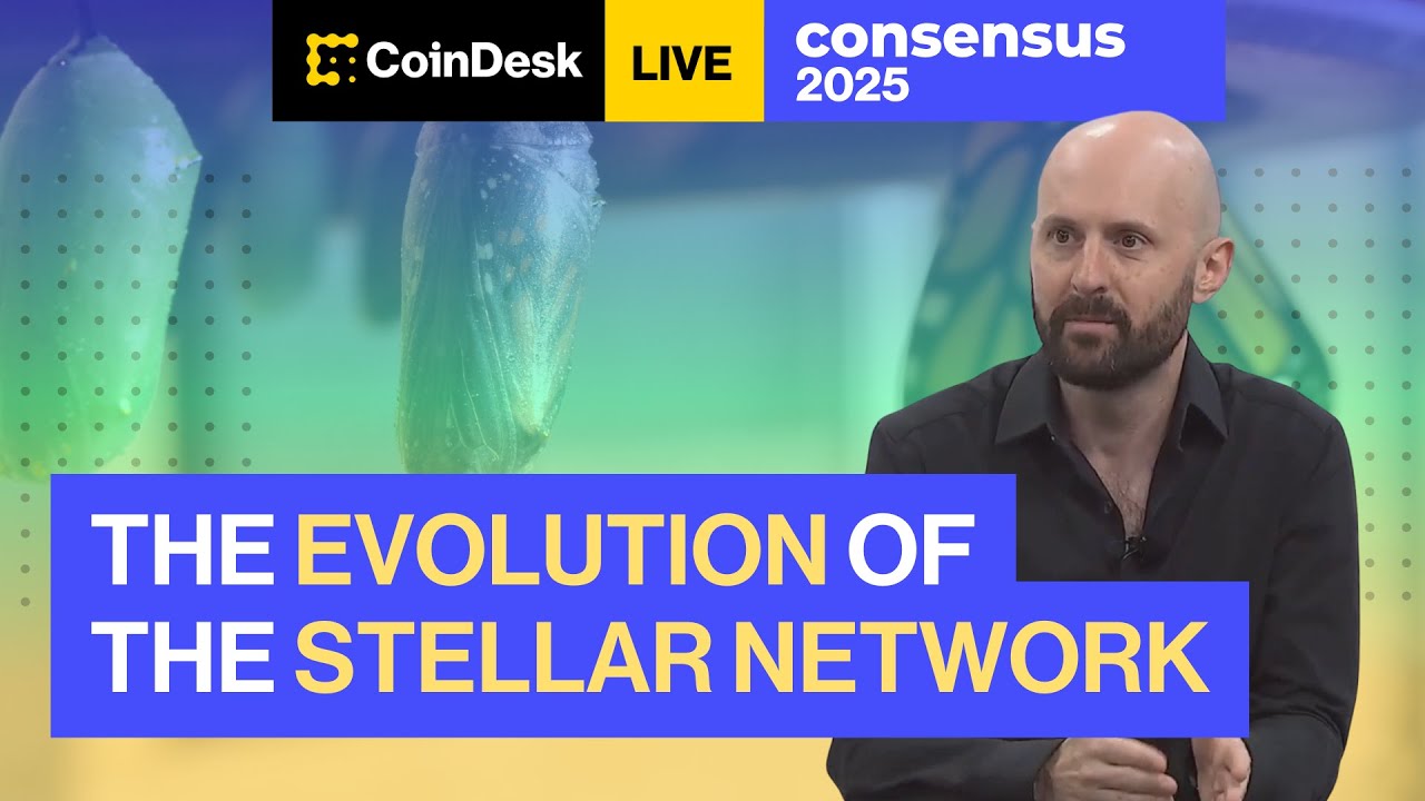 The Evolution of the Stellar Network