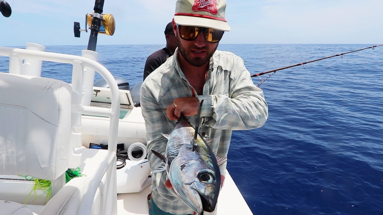 BLACKFIN TUNA {Catch Clean Cook} RAW Tuna For Dinner