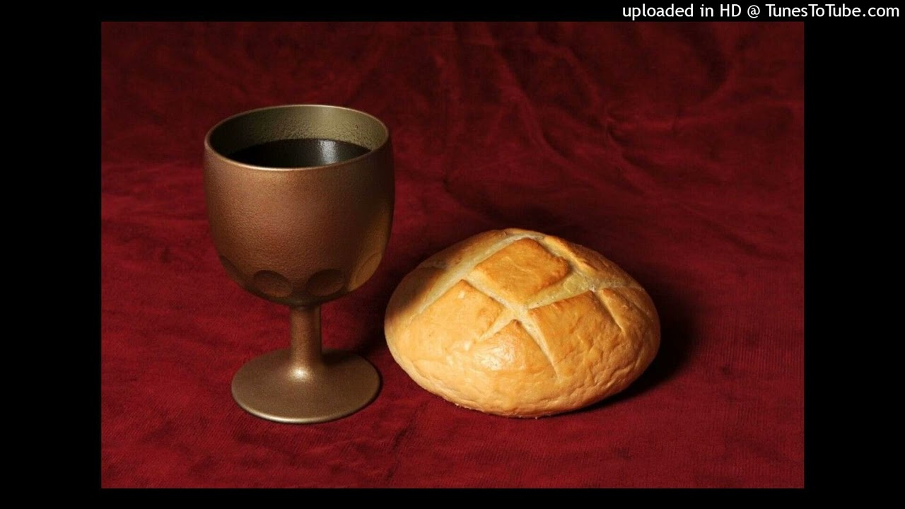 The Biblical Doctrine of Paedocommunion 4