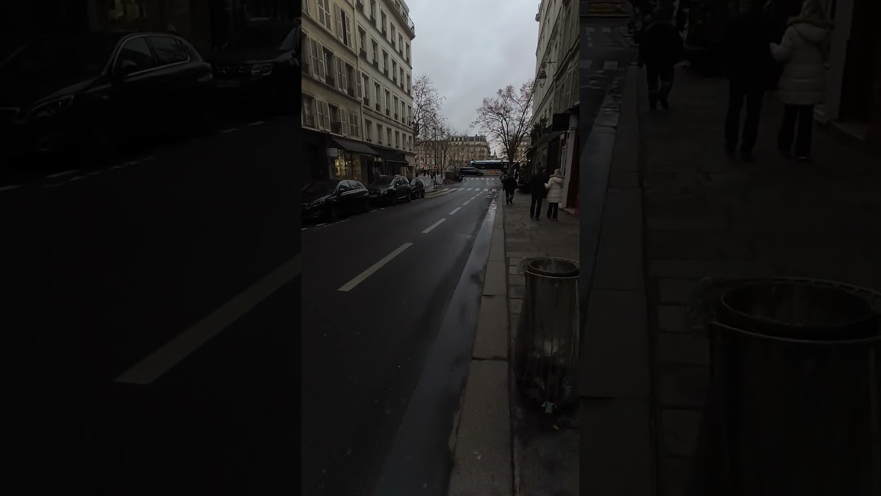 Île de la Cité, île de la Seine,  Paris 4 | S2 #2🏝️