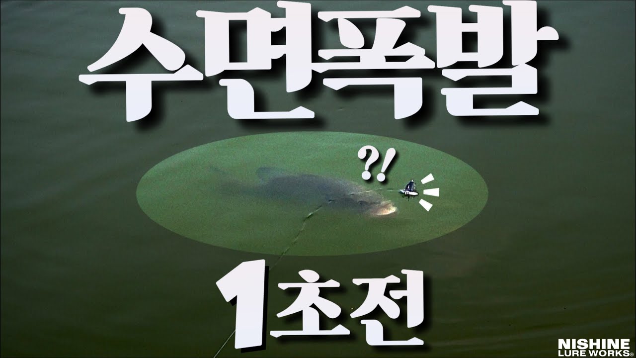 ⚠️심약자_시청금지⚠️ 그늘밑 배스들에게 위험한 액션?! 탑워터게임에 여러분을 초대합니다