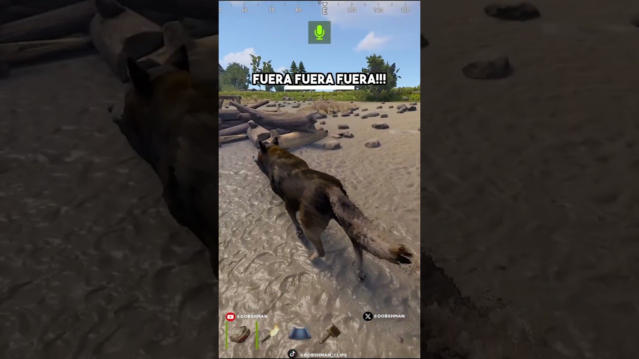 SI VES UN LOBO GRITA!!!