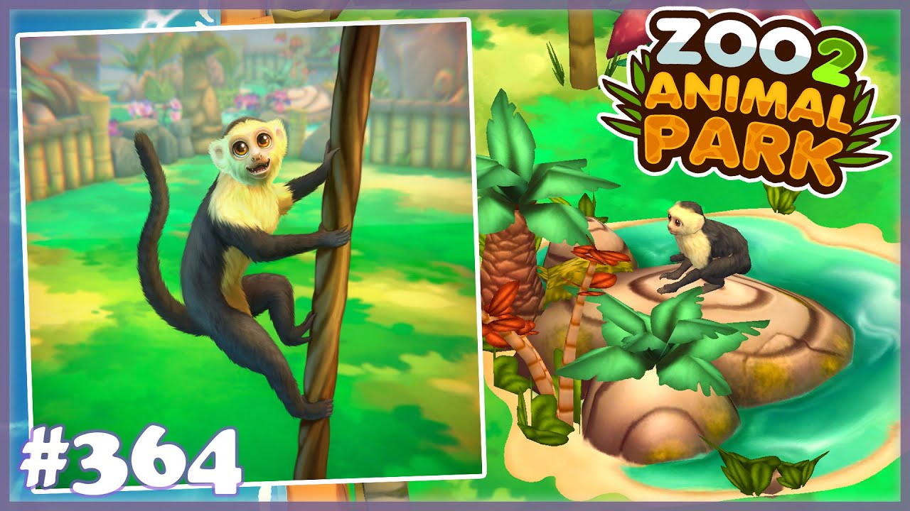 Zoo 2: Animal Park - PANAMA-KAPUZINER Affen /364/ Let´s Play