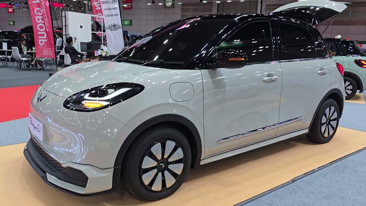 2024 Wuling Binguo EV AC DC 333 км