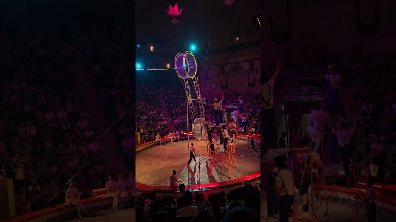 20241006 National Circus w HR_15