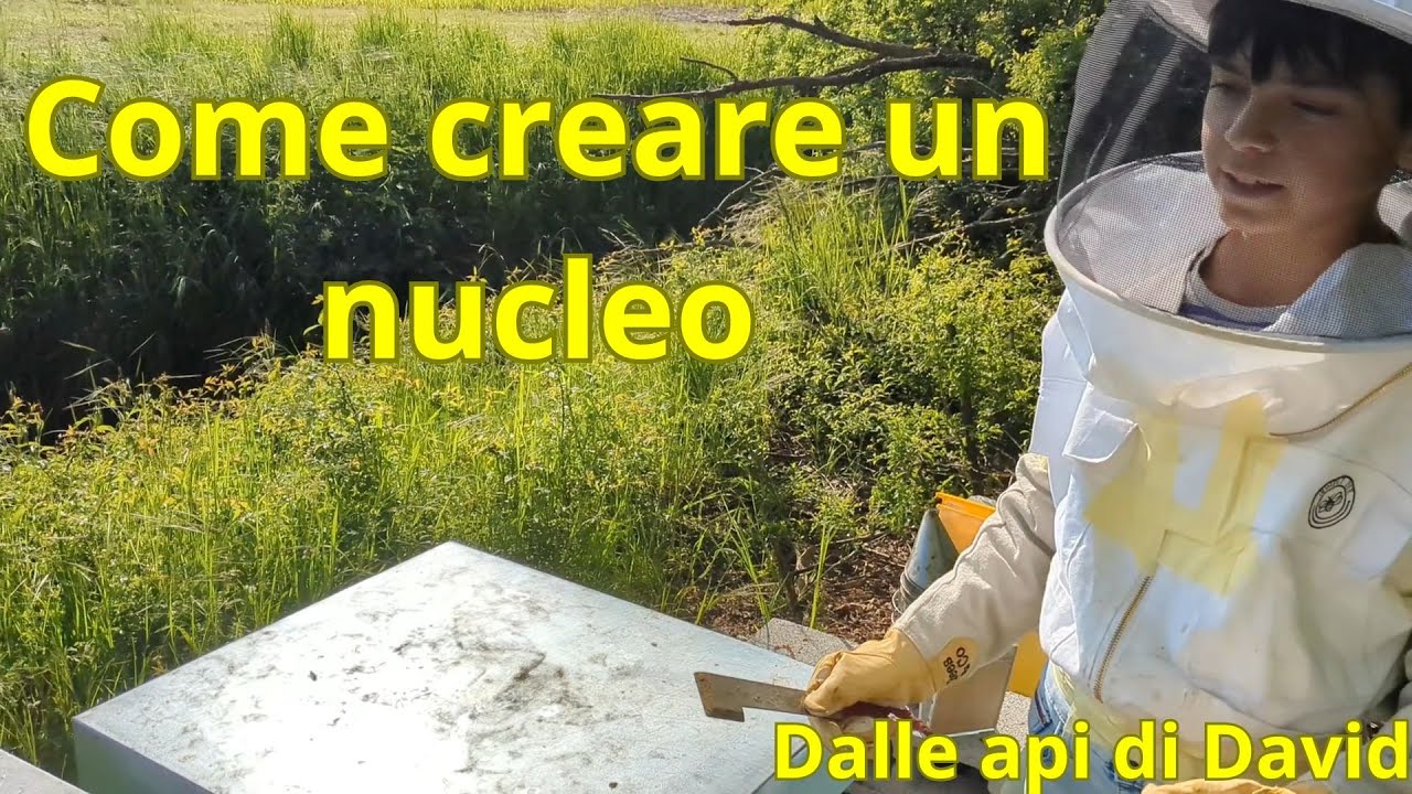 Come creare un nucleo