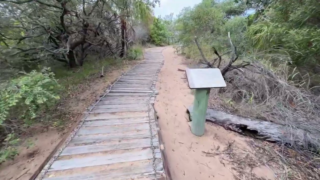 Red Rock Walking Trail, Agnes Water QLD | Coastal Track POV Walk | 🌊🐢
