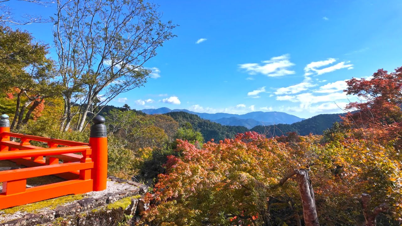 Kyoto Hidden Gems: Day Trip to Kurama-dera Temple & Kifune Shrine