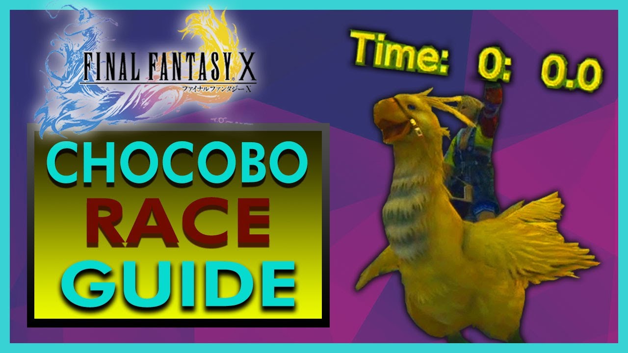 Final Fantasy X — Руководство по гонкам на чокобо