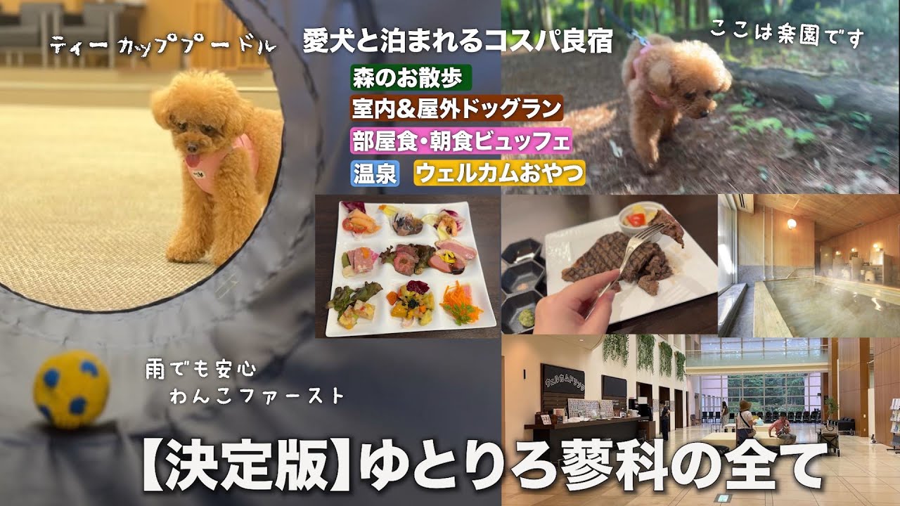 犬の楽園ホテル ゆとりろ蓼科の全て【全部見せます！ドッグランから客室、料理、その魅力の全貌を徹底解析】