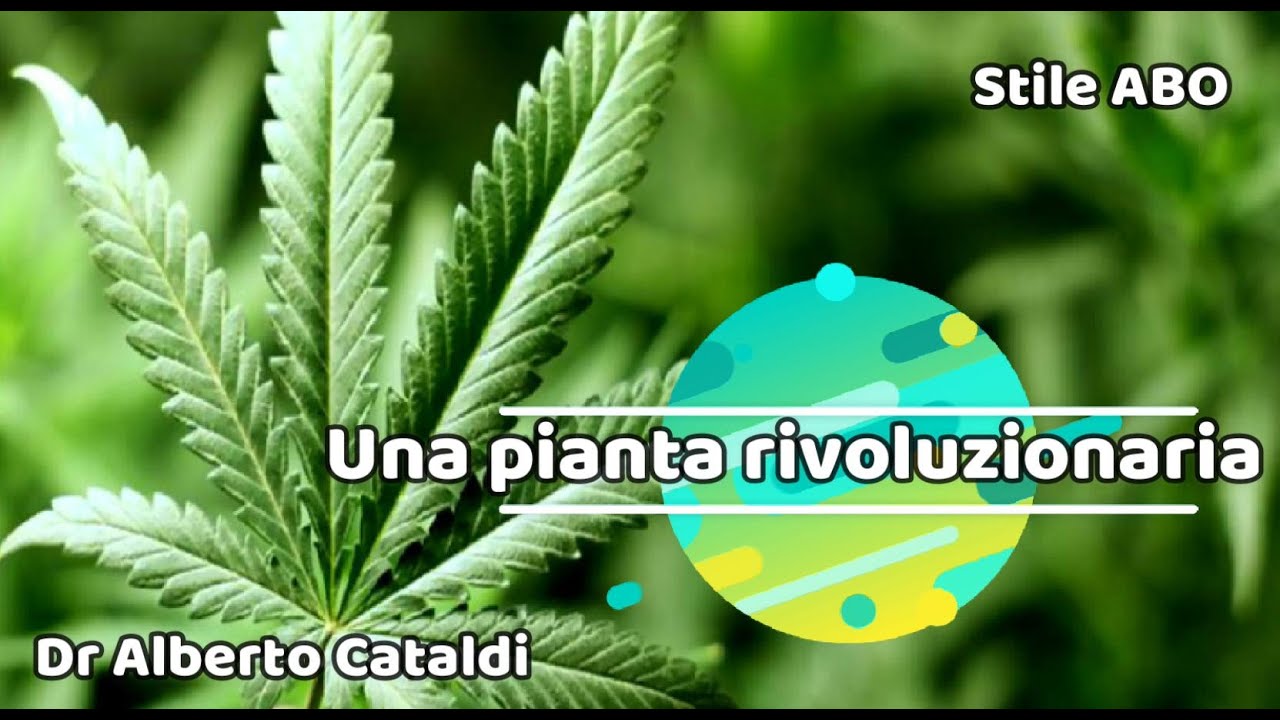 La marijuana una pianta tanto dimenticata e tanto utile all'umanit&agrave;