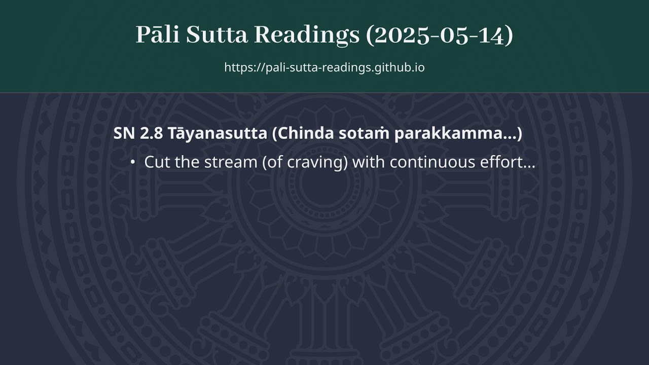 (2025-05-14) SN 2.8 Tāyanasutta (Chinda sotaṁ parakkamma...)