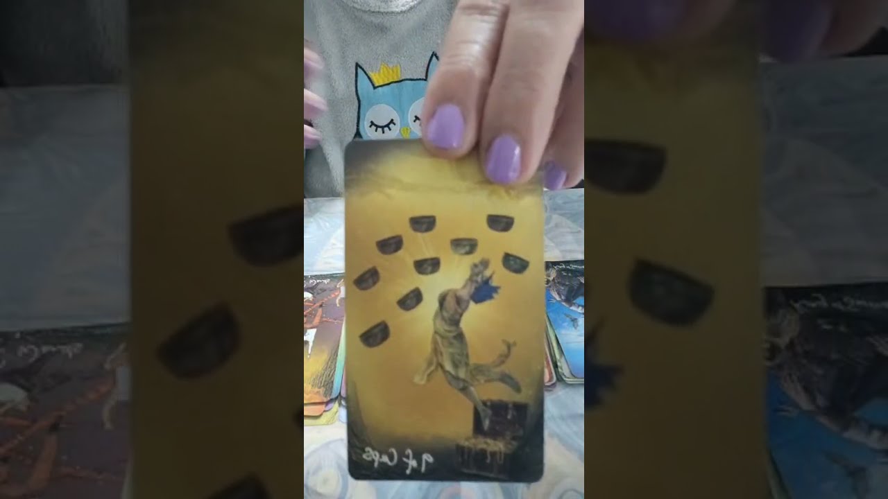 אנרגיות של  מאבקים פעם למעלה פעם למטה זהירות!!!