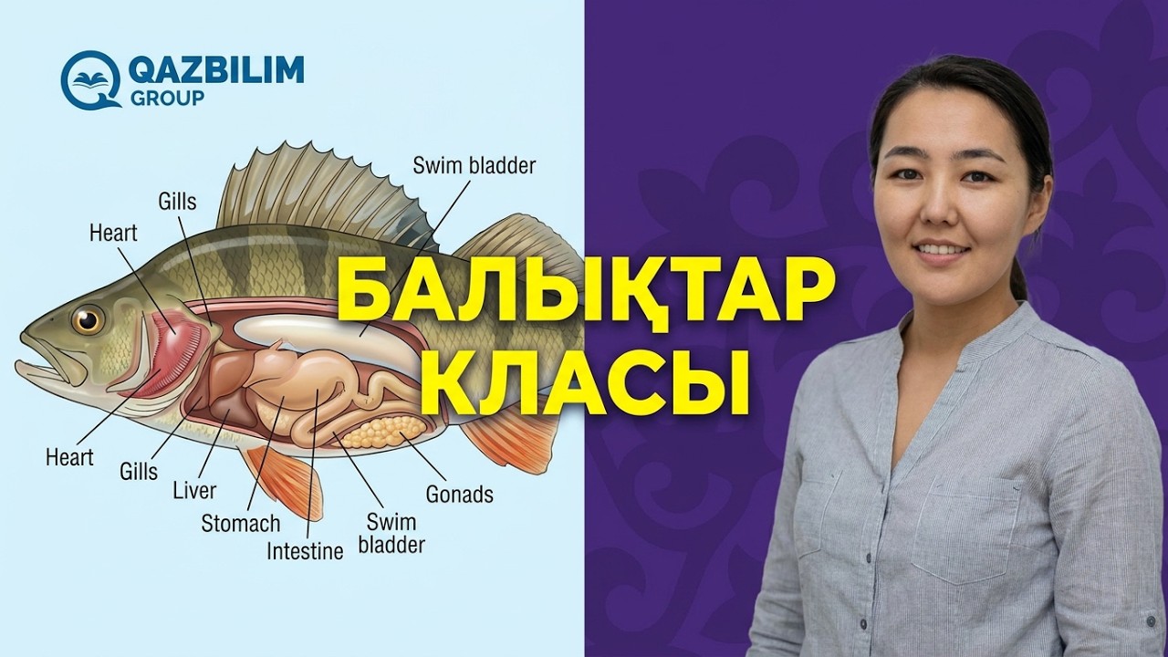 Биология. Балықтар класы / ҰБТ