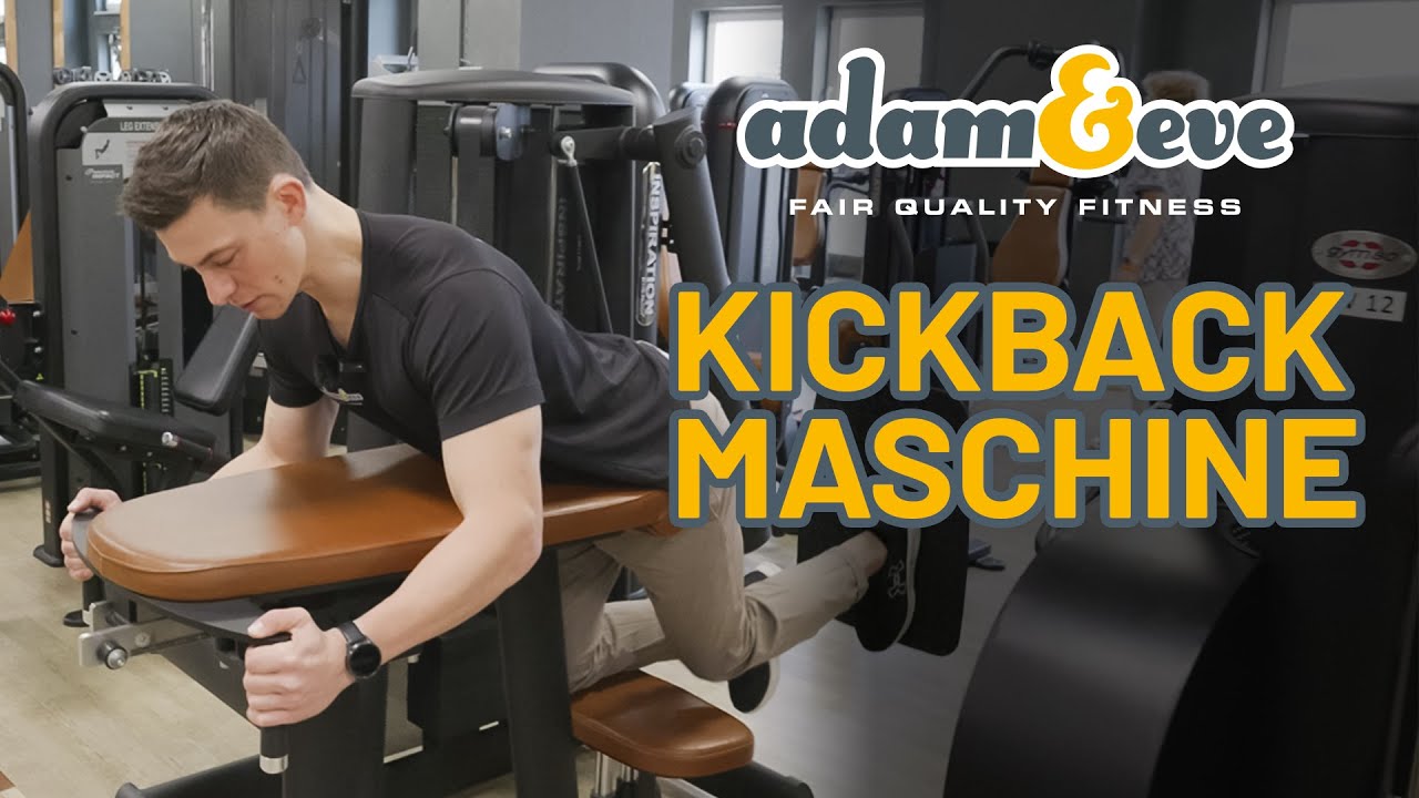 Kickback Maschine  Gym80