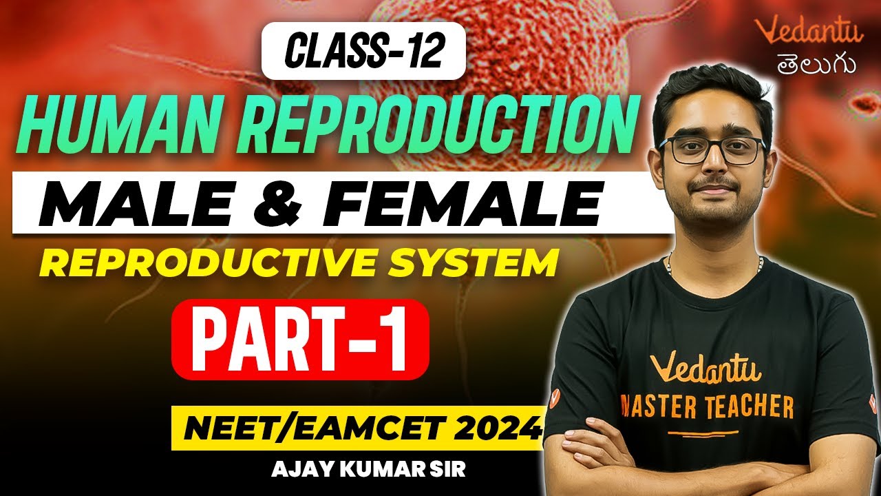 Human Reproduction-1 | Male and Female Reproductive System | NEET/EAMCET 2024 | Vedantu Telugu