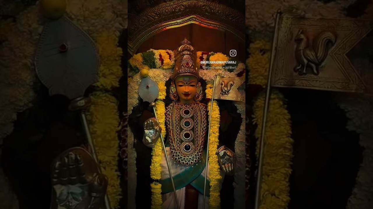 muruga 🙏🏼😍#murugan #muruganthunai #edit #subscribe #muruganslogasmanthras #murugansongs #love
