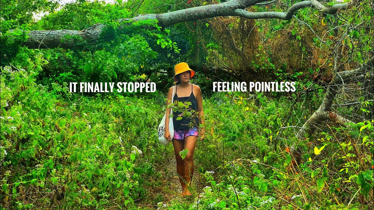 I found true purpose in simple living when I downshifted.