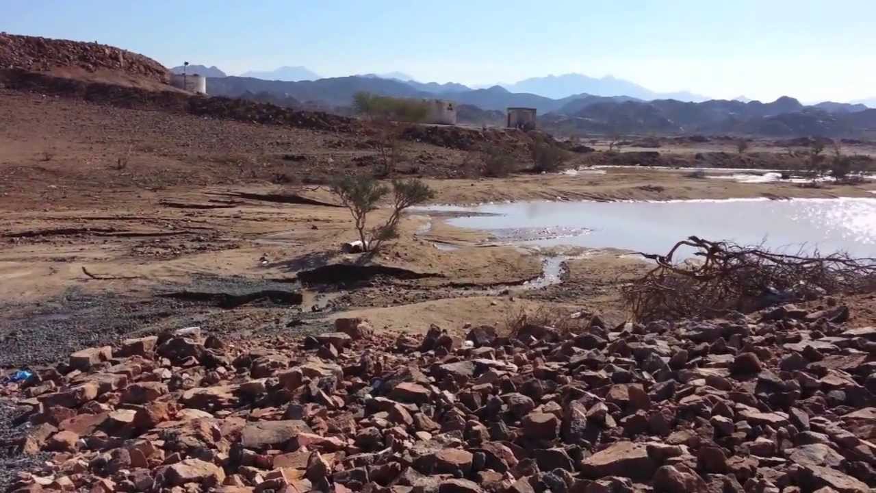 Reversing the Cycle of Desertification