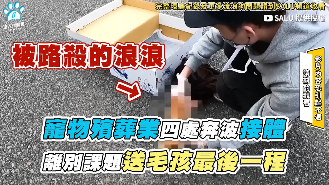 【寵物殯葬業四處奔波接體 離別課題送毛孩最後一程】｜@SALU_KEEPITCOOL