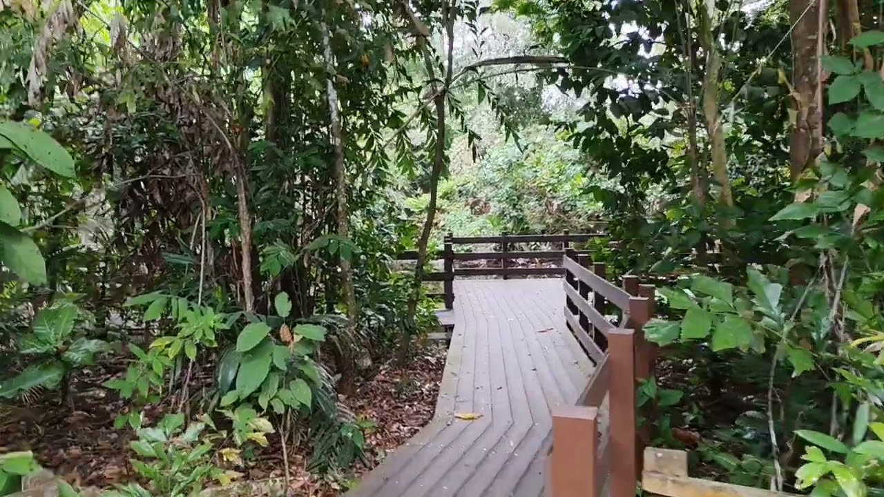 ASEAN Heritage Park| | Journey of Sungei Buloh Wetland Reserve _2 | #sg