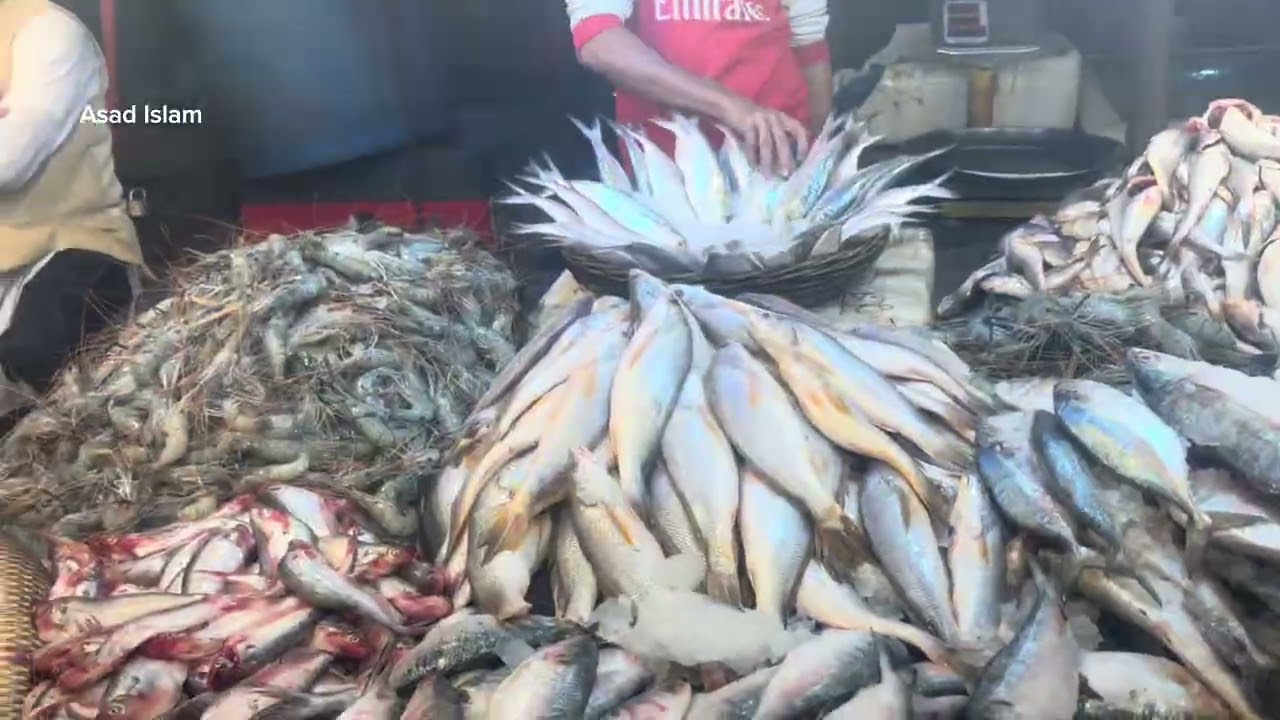Rupatali Fish Market Barishal