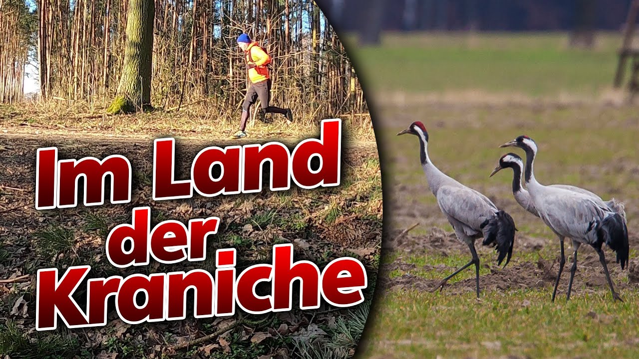 Im Land der Kraniche - Milkel / Oberlausitz