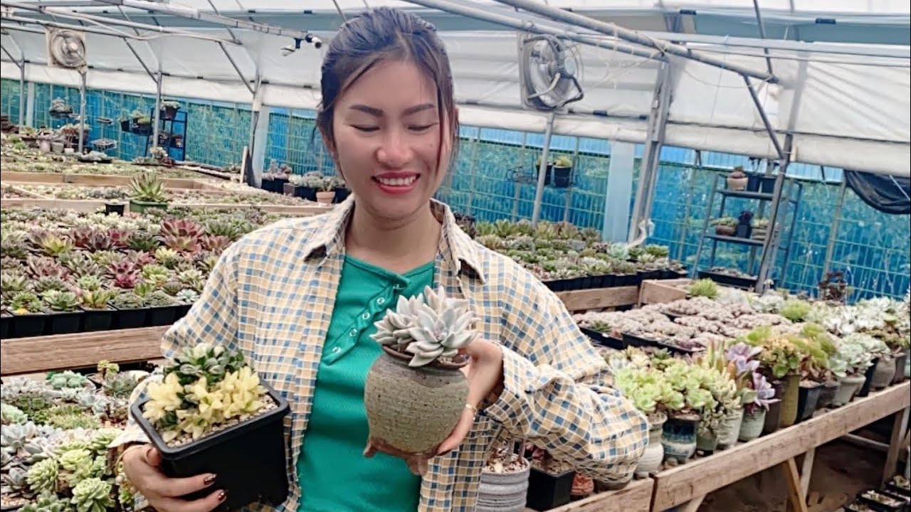 Korean succulents farm tour- biggest succulent wholesale market ❤️🌵