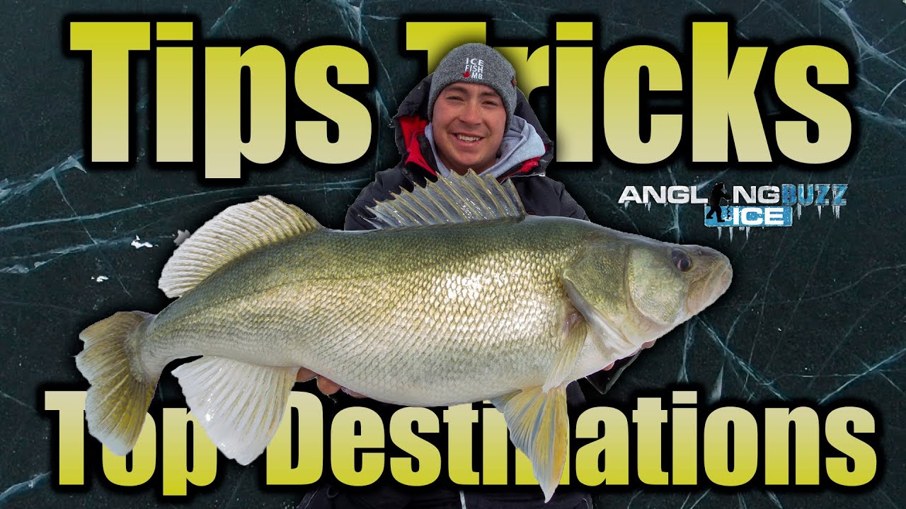 AnglingBuzz Ice Show 4: Ice Fishing Walleyes: Tips, Tricks, and Top Destinations