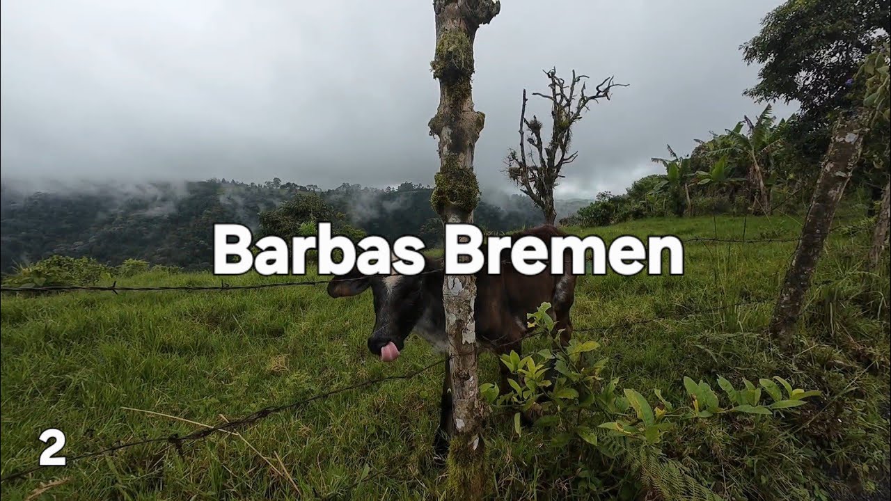 Cycling from Colombia to Ecuador – Pt. 2: Barbas Bremen
