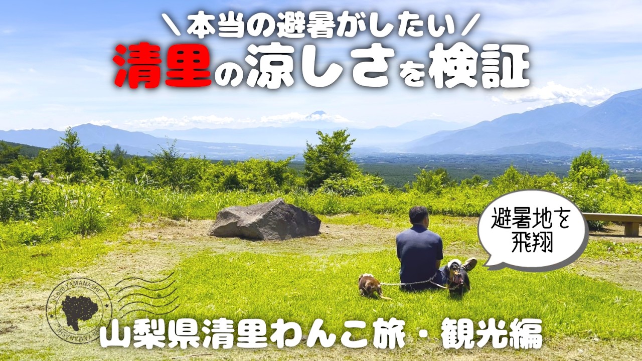 【犬連れ旅行山梨清里観光】ガチリピの大好きな観光スポット「天空カート」に乗って天空散歩へ🐾1泊2日わんこ旅1/3 2024.7