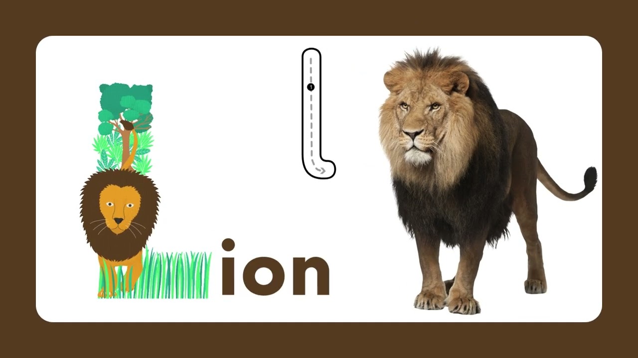 Learn to Read with this Animal alphabet Video!