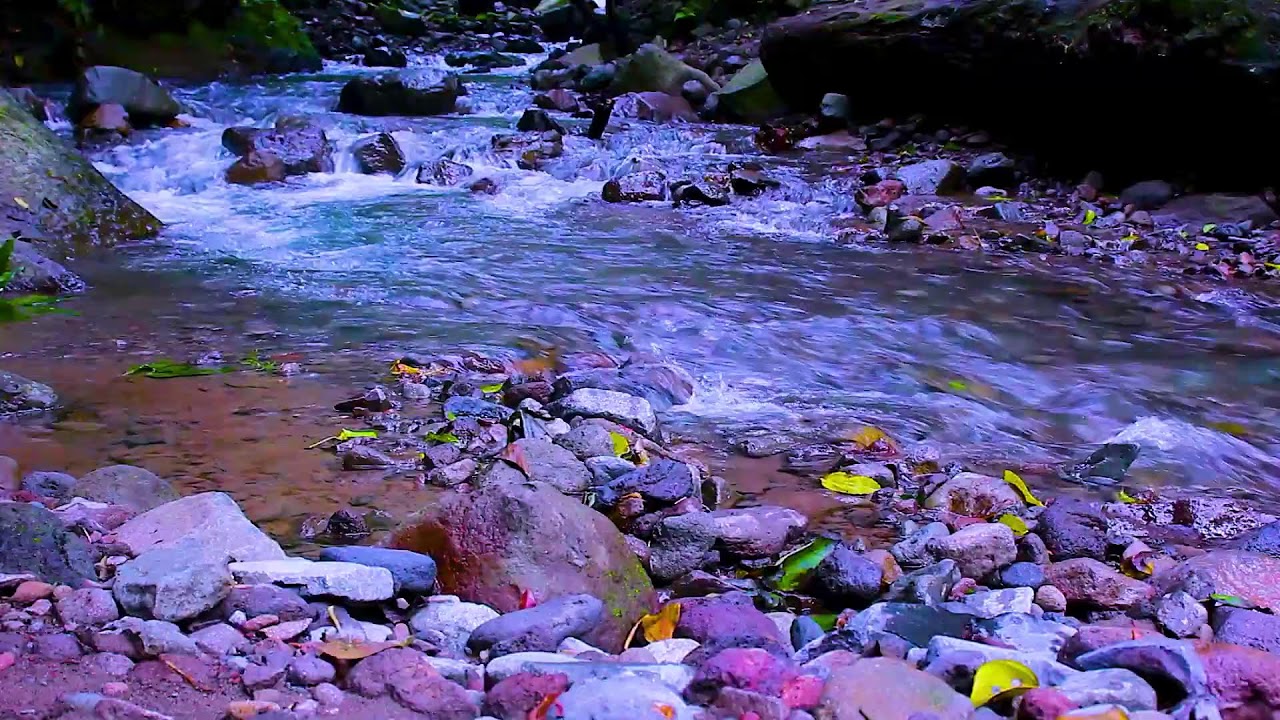 Mountain River Night Ambience | Relaxing Nature Water Sounds for Deep Sleep and Stress Relief