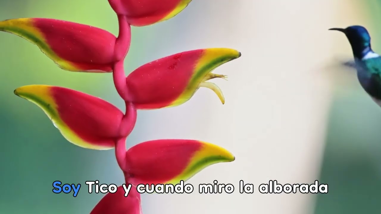 Soy Tico - karaoke  - Carlos Guzmán 