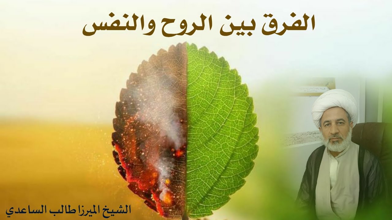 الفرق بين الروح والنفس