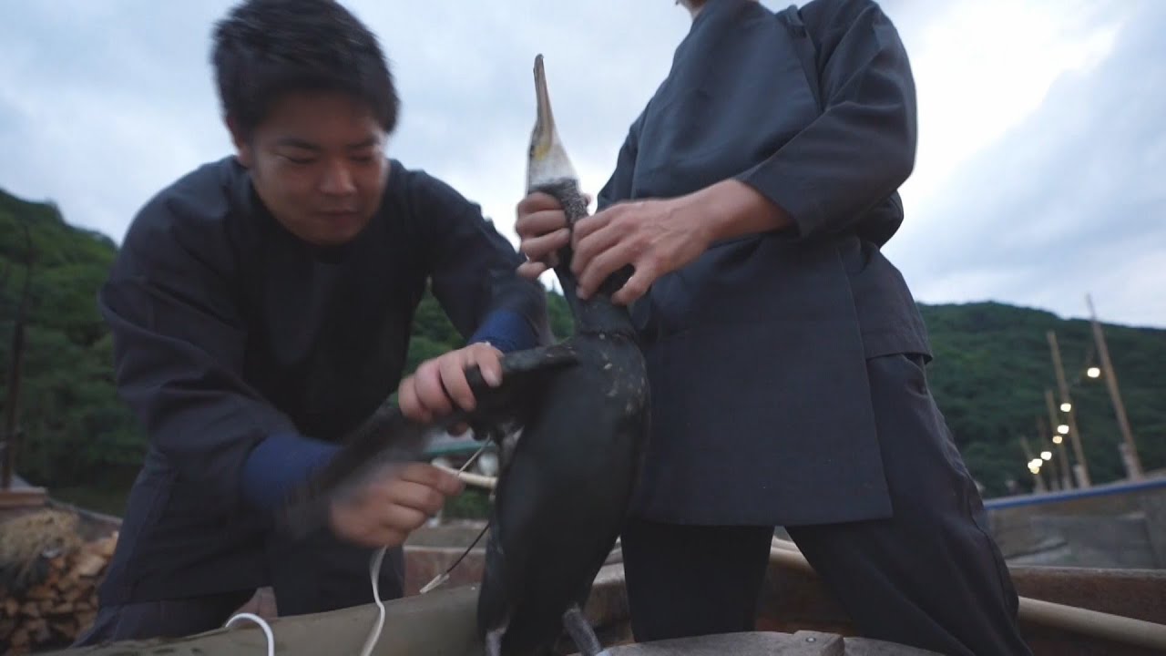 T&eacute;cnica milenar de pesca tenta sobreviver no Jap&atilde;o, apesar da pandemia