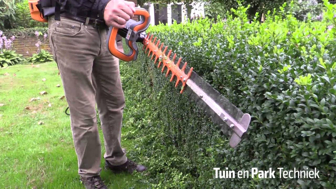Heggenscharen in de test