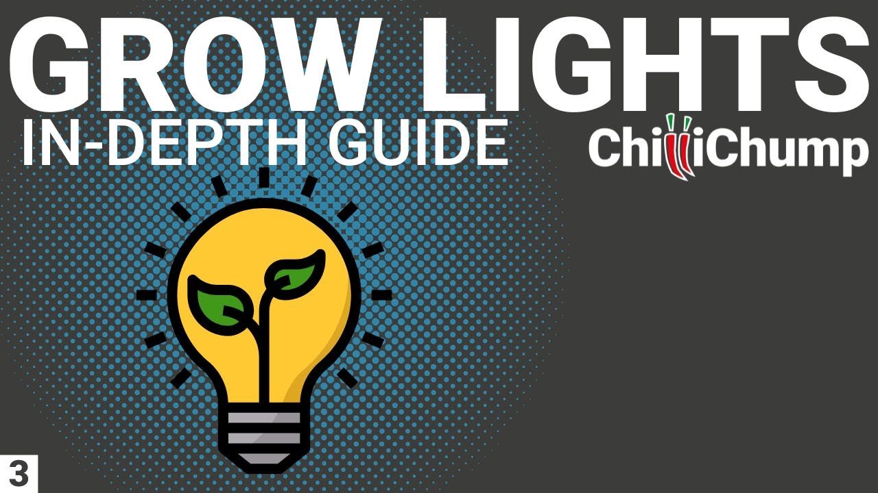 Grow Lights 101:  Maximize Your Chilli Harvest with the Right Grow Lights