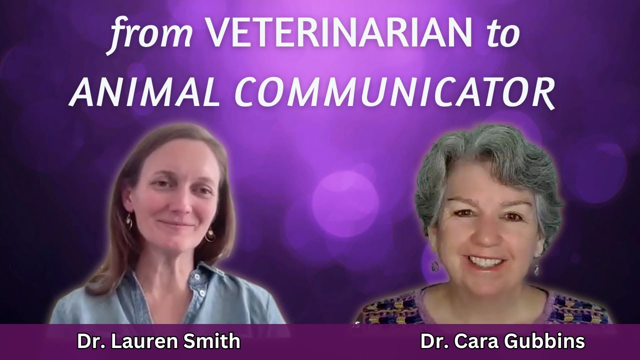 From Veterinarian to Animal Communicator - Lauren's Story.