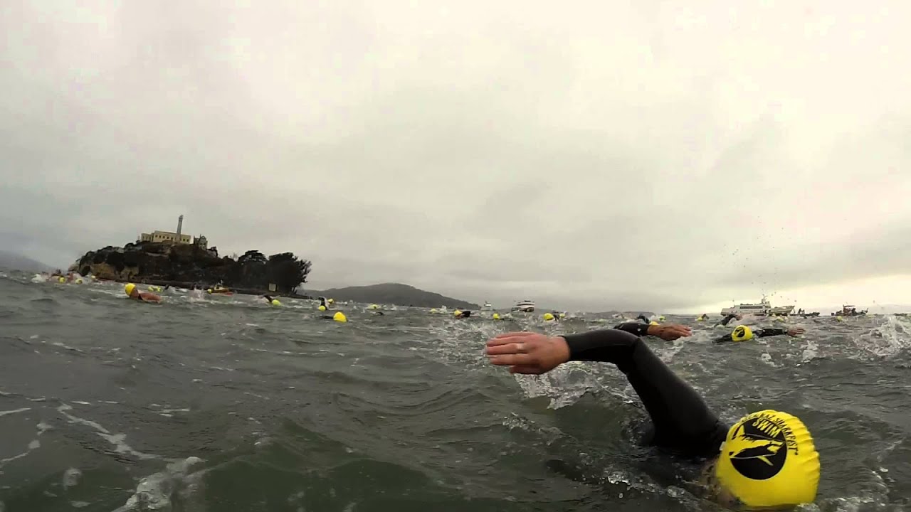 Escape! What it's like to swim the Alcatraz Sharkfest Race