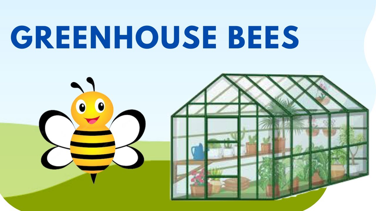 Greenhouse Bees - hive access to winter greenhouse for pollination