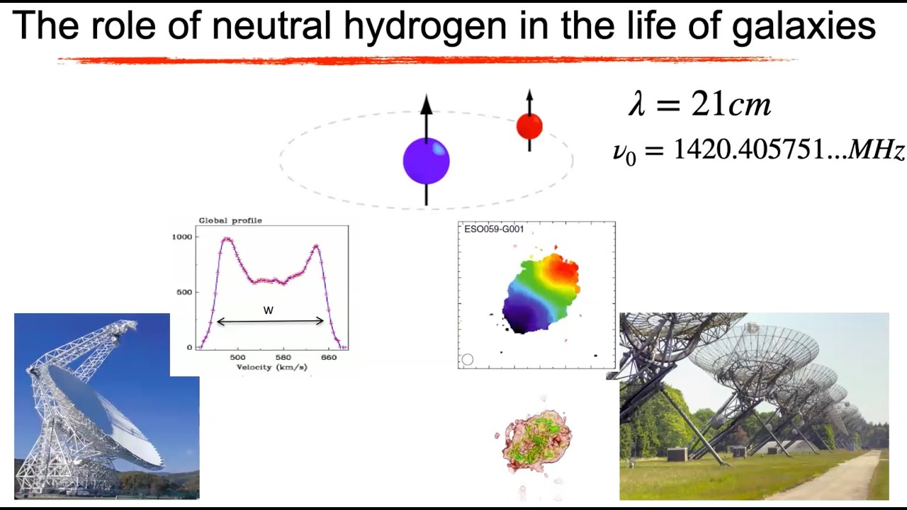Neutral hydrogen in galaxies &ndash; Dr Anastasia Ponomareva