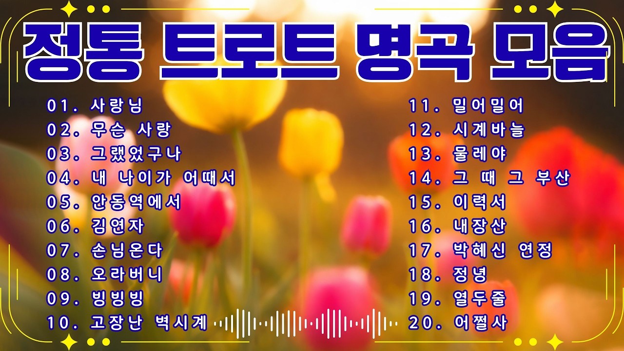 정통 트로트 명곡 모음 🎧 인생 트로트 중년·어르신을 위한 인생 노래🎧 #트로트 #인기트로트 #트로트모음 #트로트듣기 #트로트메들리