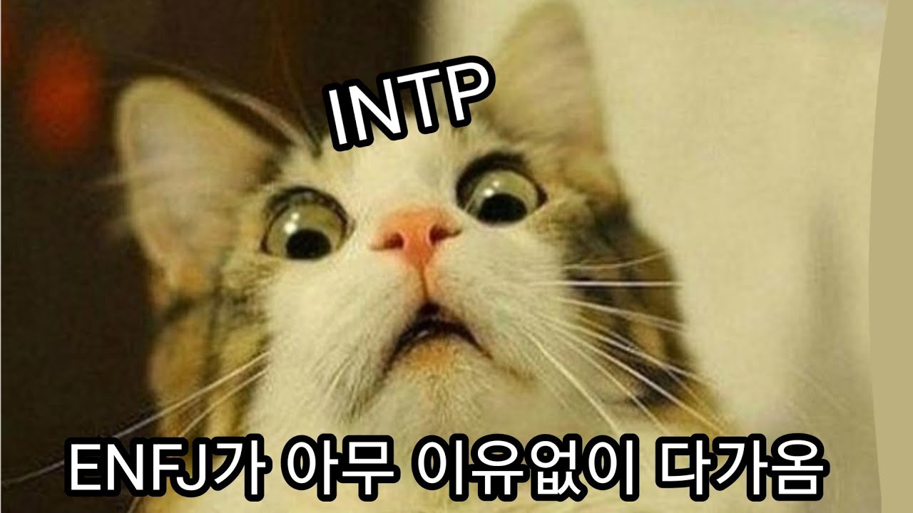 INTP와 ENFJ의 관계 | INTP 사용설명서 3-12