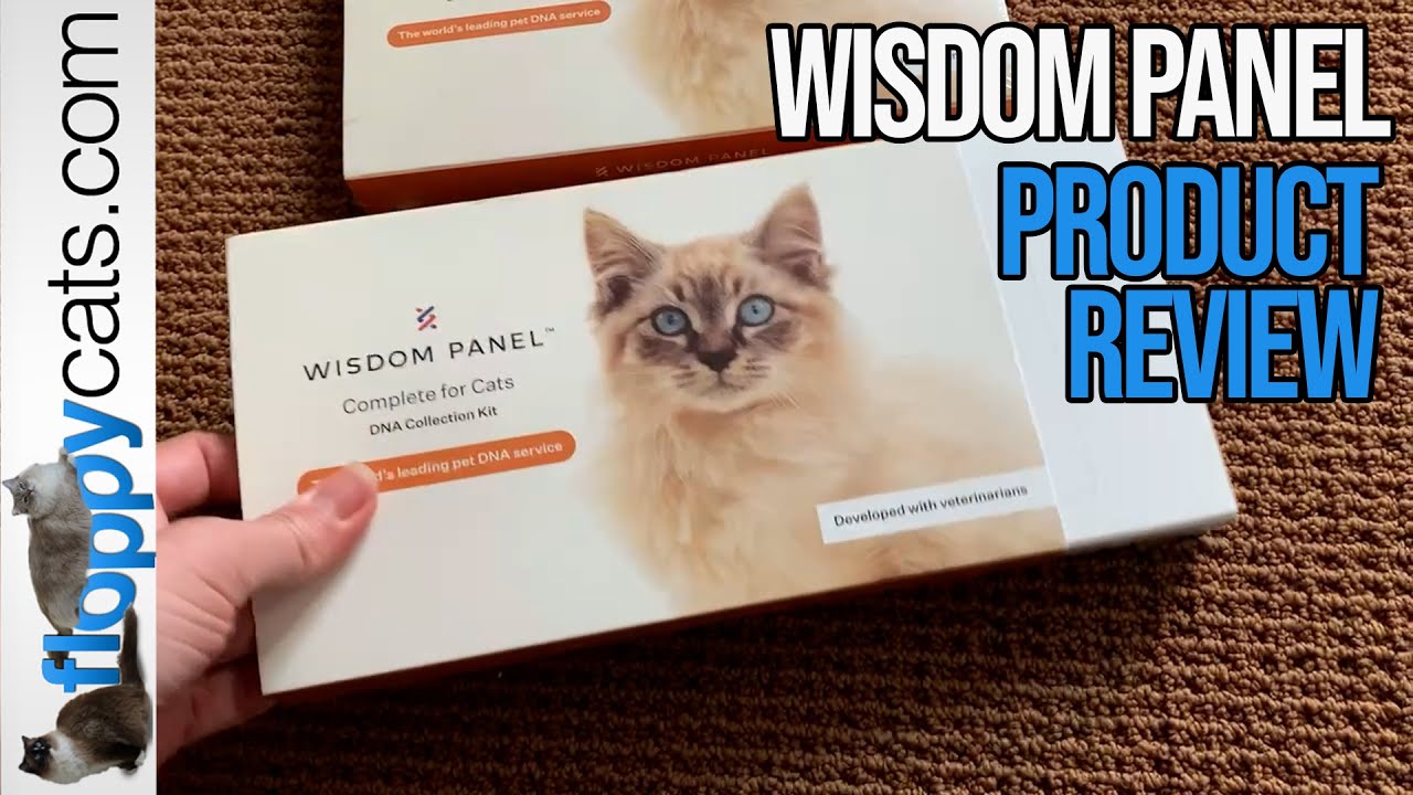 The Best Cat DNA Test: Wisdom Panel Review - Find Out if Your Cat is Purebred